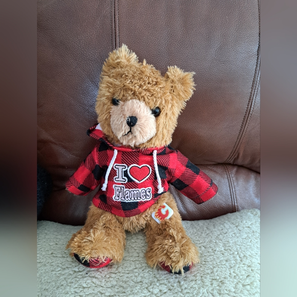 Plaid Hoodie Teddy Bear with Heart Design